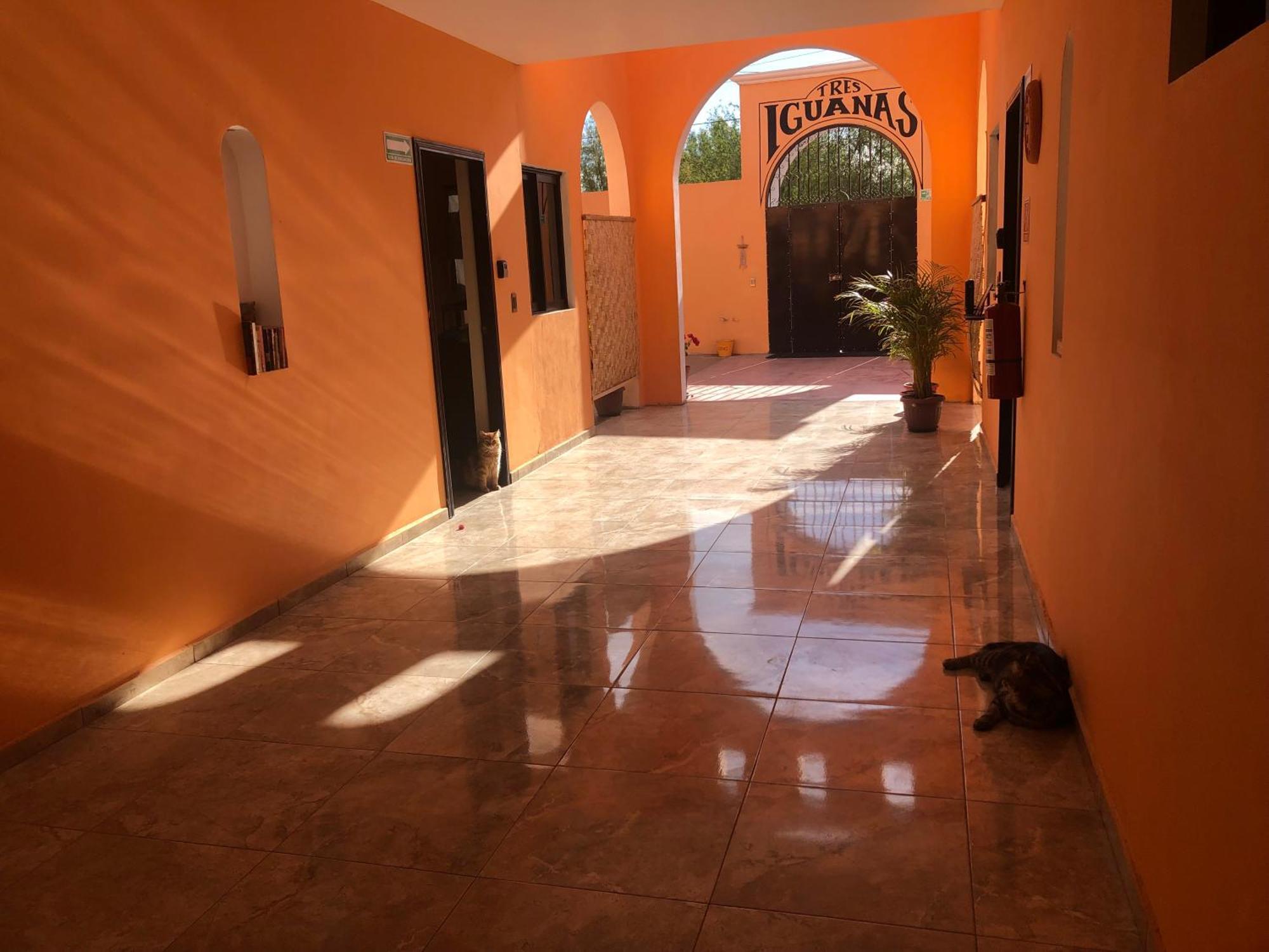 Tres Iguanas Apart Hotel - New, Cozy & Spacious Flats, Short Walk To Beach Loreto  Luaran gambar