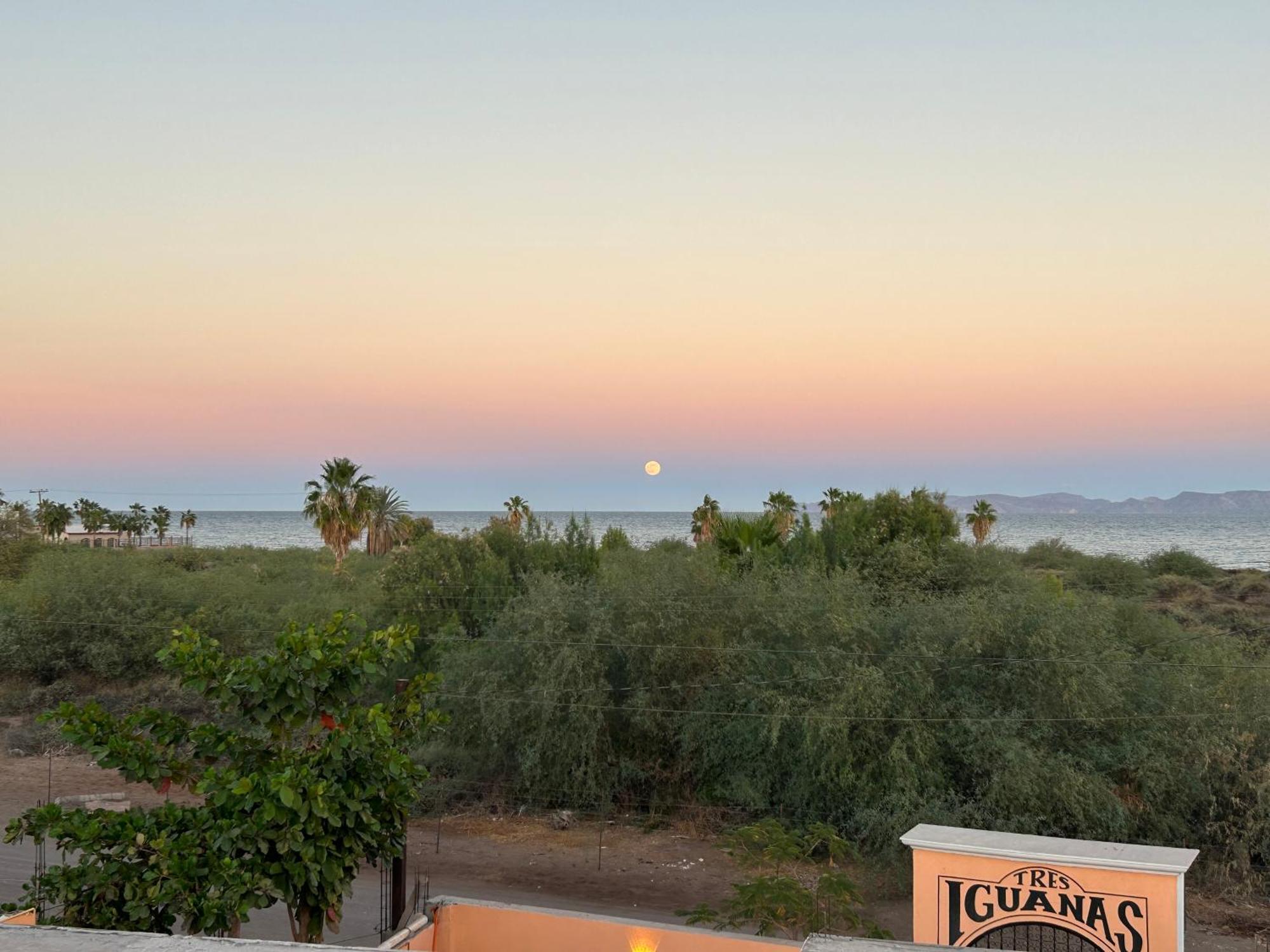 Tres Iguanas Apart Hotel - New, Cozy & Spacious Flats, Short Walk To Beach Loreto  Luaran gambar